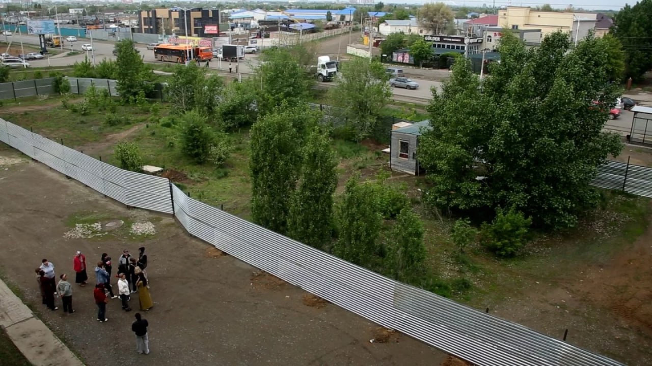 деревья
