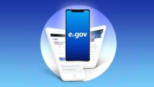 Egov Mobile