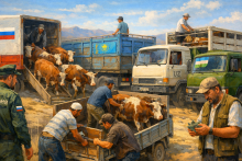 Экспорт скота