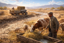 дефицит поливной воды