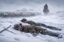 гибель пастухов в ЗКО