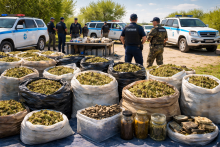 Канал сбыта наркотиков