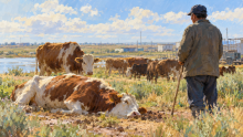 Mass sheep deaths have been recorded in the village of Beineu in the Mangystau region